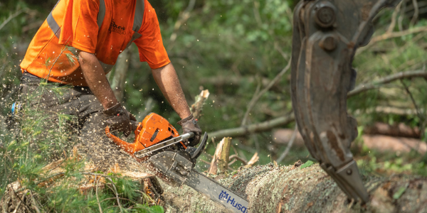 Best Practices for Operating Tree Equipment